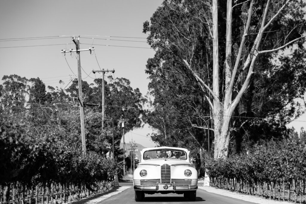 A grand entrance is always a good idea!  White, vintage, classic, convertible Packard car is what the bride and groom rode to their reception in