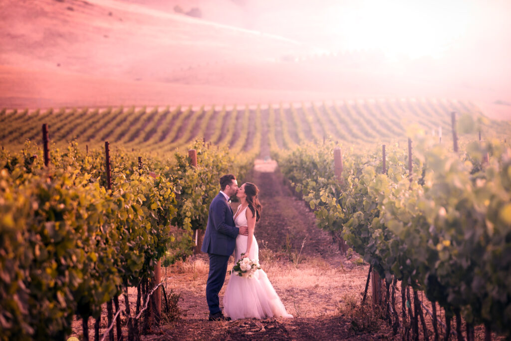 Golden hour wedding photograph of Bride and Groom.  Vineyard Sunset photo of bride and groom 