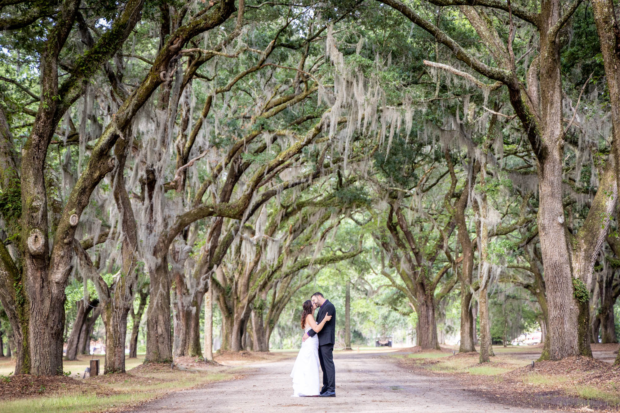 bride and groom kissing under the avenue of oak trees with spanish moss