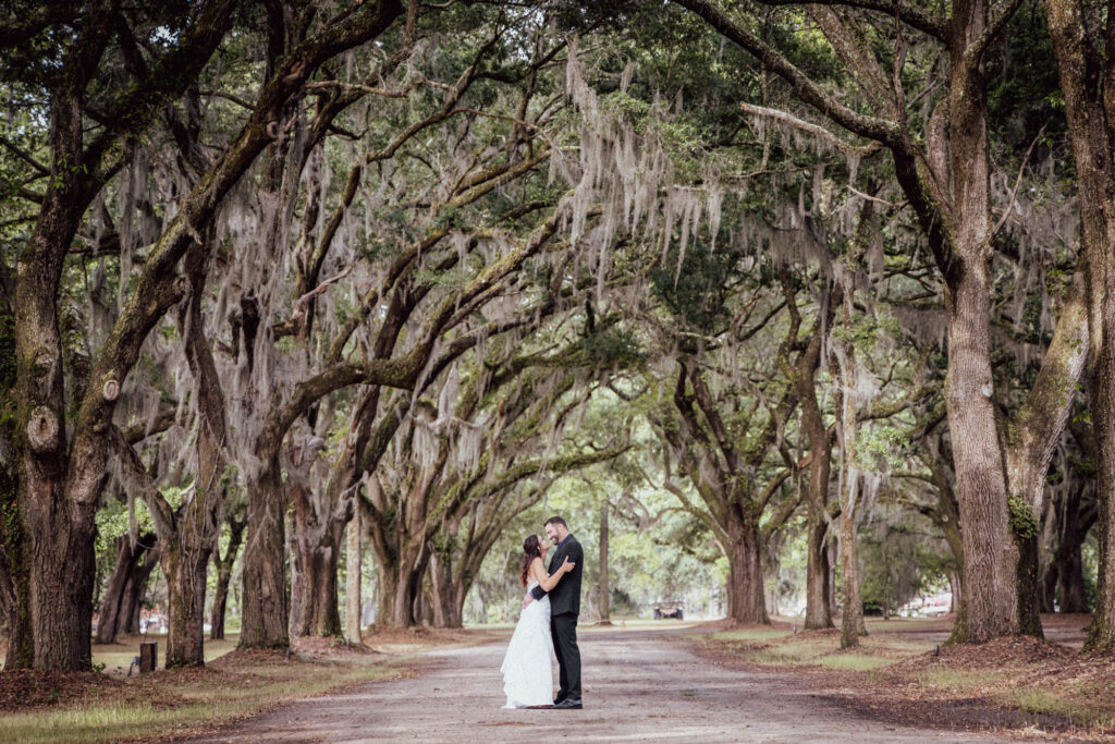 Bride and groom embrace in the avenue of trees at Eden of Gracefield
